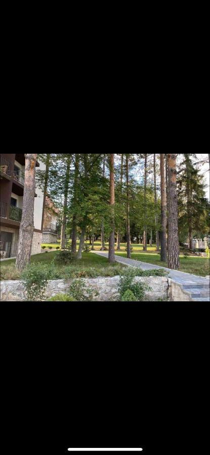 Titova Vila Zlatibor Mountain View Apartment 외부 사진